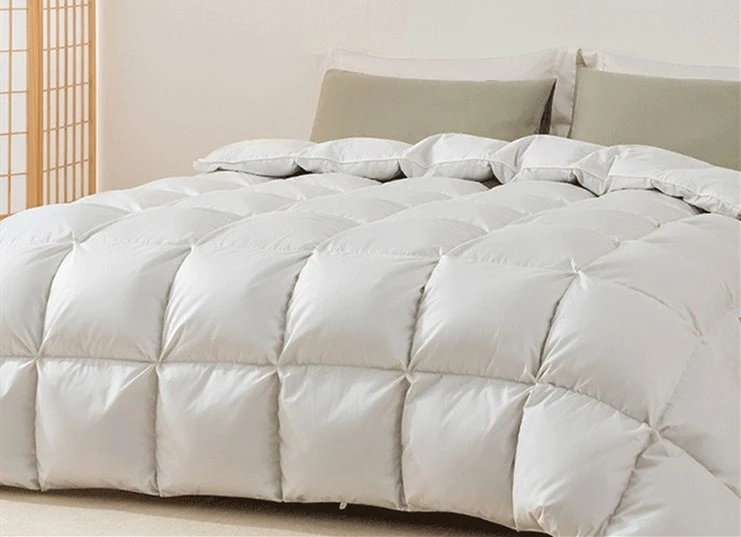 product-741-537